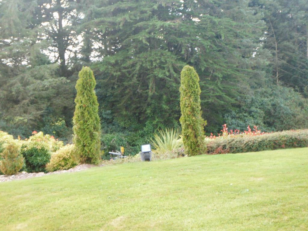 Blarney Vale B&B Exterior photo