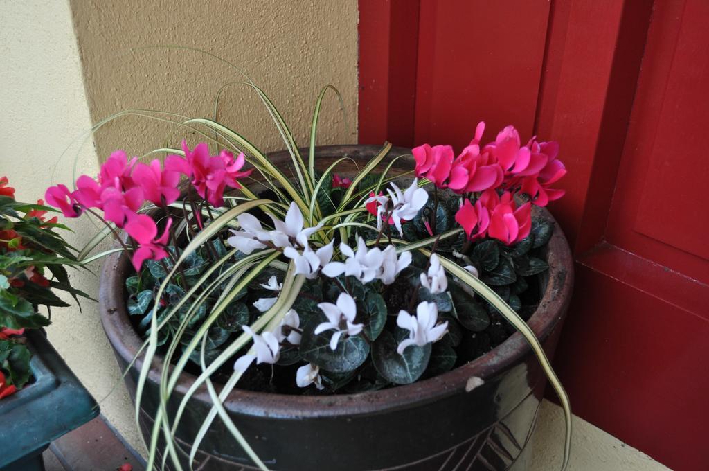 Blarney Vale B&B Room photo